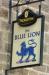 Picture of The Blue Lion
