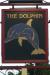 Picture of The Dolphin