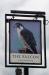 Picture of The Falcon