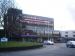 Picture of The Litten Tree