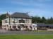The Swan