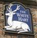 Picture of The White Hart