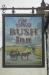 Bush Inn picture