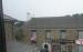 Picture of Cornish Choughs