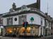 Picture of Shamrock