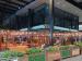 The Grocer picture