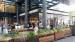 Picture of The Grocer
