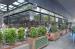 Picture of The Grocer