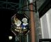 Picture of Punch & Judy
