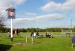Picture of The Calleva Arms