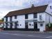 Picture of White Horse