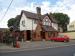 Picture of Royal Oak