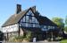 Picture of The Tudor Rose