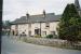 Sycamore Inn picture