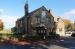 Picture of The Elm Tree