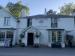 The Orange Tree