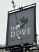 Picture of The Dove