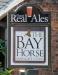 Picture of Bay Horse