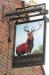 Picture of Bucks Head