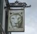 Picture of White Lion
