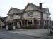 The Hearty Oak