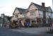 Picture of The Hearty Oak