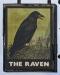 Raven picture