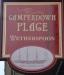 Picture of Camperdown Place (JD Wetherspoon)