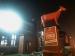 Picture of Red Cow