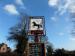 Picture of Black Horse