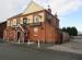 Picture of Golden Lion