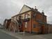 Picture of Golden Lion
