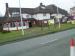 Picture of Tudor Rose