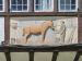 Picture of Harvester The Horse & Groom