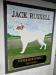 Picture of Jack Russell