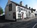 Picture of The Roebuck