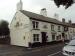 Picture of The Roebuck
