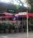 Picture of Casa Madeira