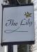 Picture of The Lily