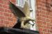 Picture of Eagles Nest
