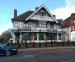 The Elm Tree picture