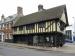 Picture of Pack Horse