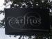 Picture of Carlito's