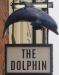 Picture of The Dolphin