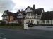 Picture of Royal Oak