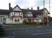 Picture of Royal Oak