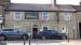 The Roebuck