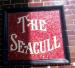 Picture of Seagull