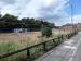 Picture of Daisy Hill