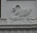 Picture of Swan